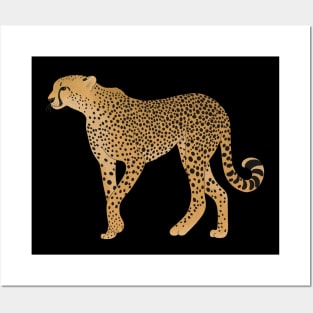 African Animal, Cheetah Cat Posters and Art